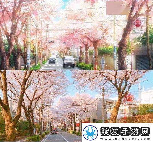 樱花动漫入口官到底是哪个