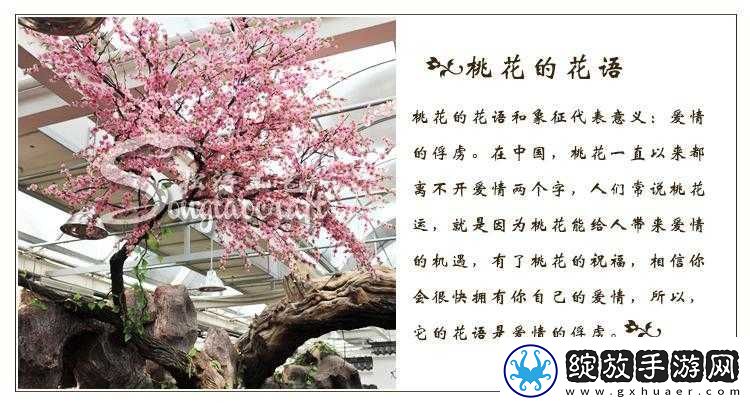 两瓣桃花千人品
