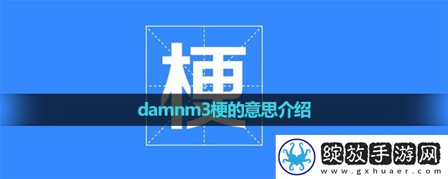 damnm3梗火爆的原因