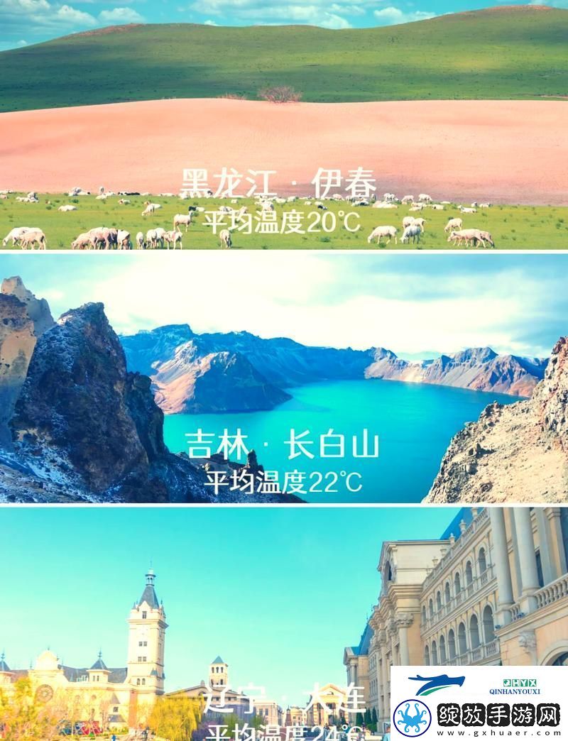畅游“伊春园2023入口”