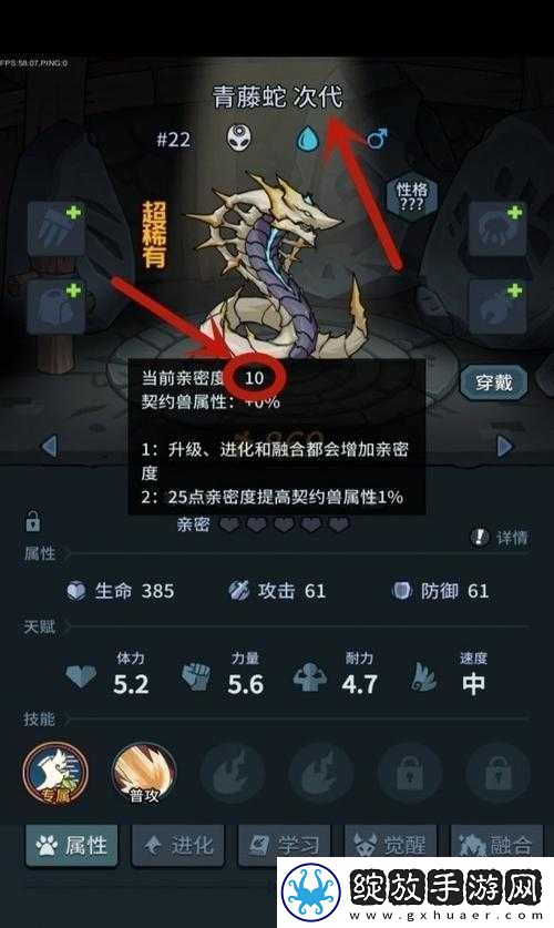 提灯与地下城小火龙强度全面剖析