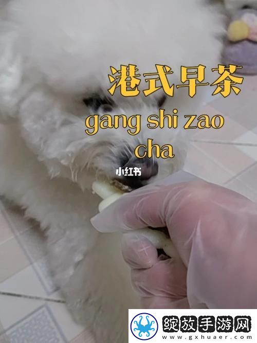 揭秘“美国人与动物胶配方大全”