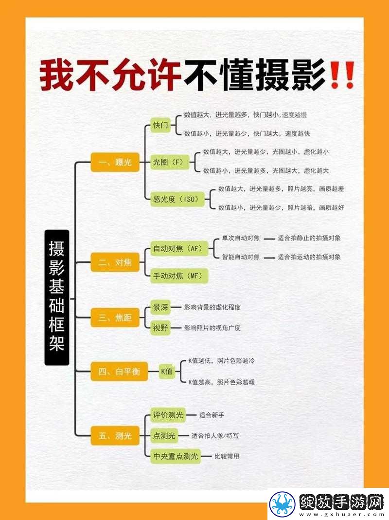 导演的摄影课