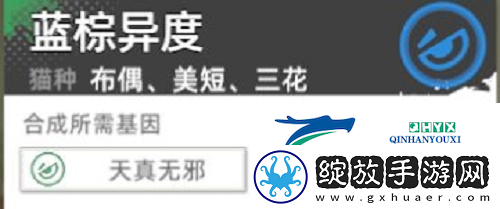 猫之城主题猫怎么获得