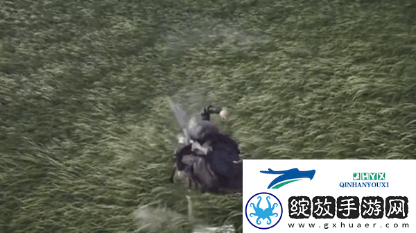 燕云十六声凌云踏奇术怎么样