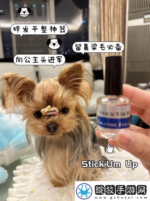 多种类美国人与动物胶配方解析