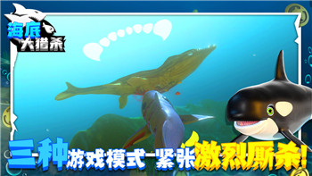 中土世界战争之影有什么好玩的