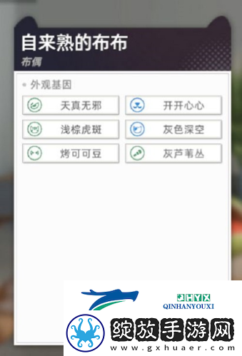猫之城怎么配猫