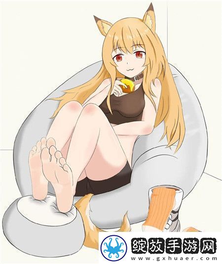 韩国理论大全2024
