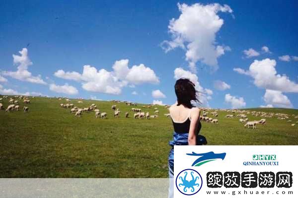 天堂草原电视剧在线观看图片高清