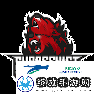 HLTV2024年度最佳选手TOP7