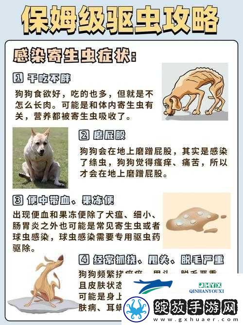 狗狗卡在体内