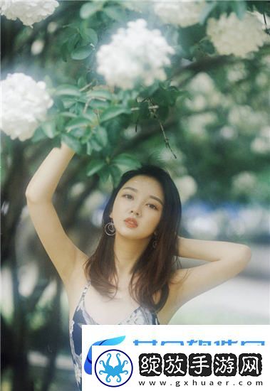 菠萝蜜在线观看免费观看电视热潮来袭