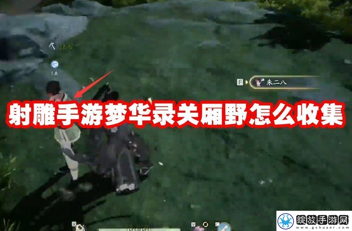 射雕手游梦华录关厢野全收集攻略