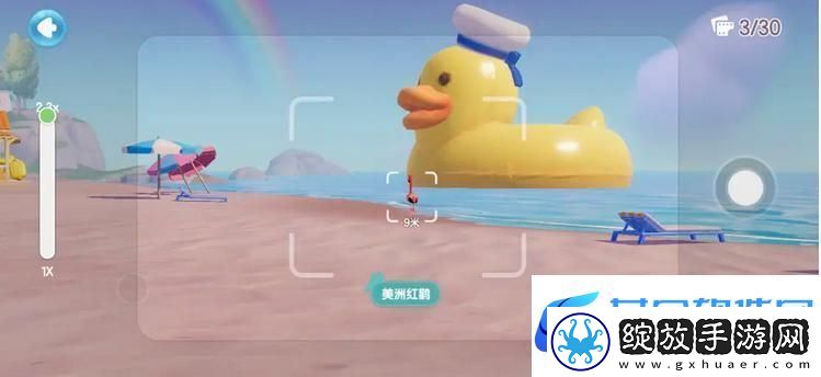 心动小镇鸟类观察图鉴大全