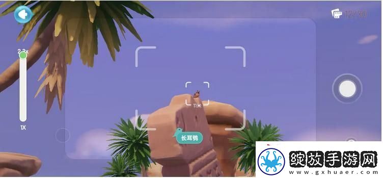 心动小镇鸟类观察图鉴大全