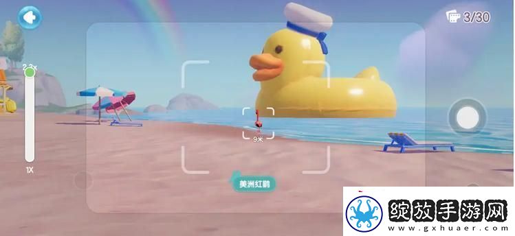 心动小镇鸟类观察图鉴大全