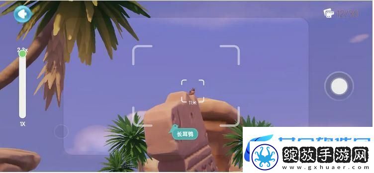 心动小镇鸟类观察图鉴大全
