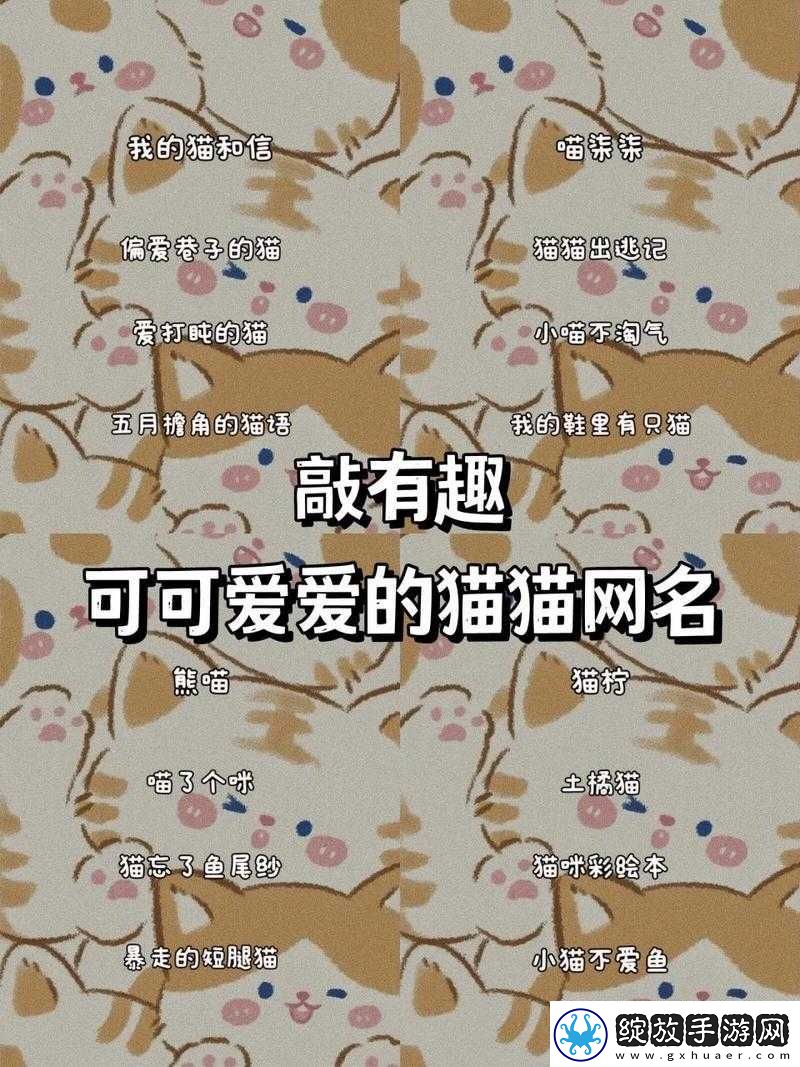 猫咪