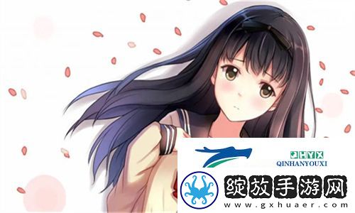 我女朋友的妈妈双字ID5参赛经历