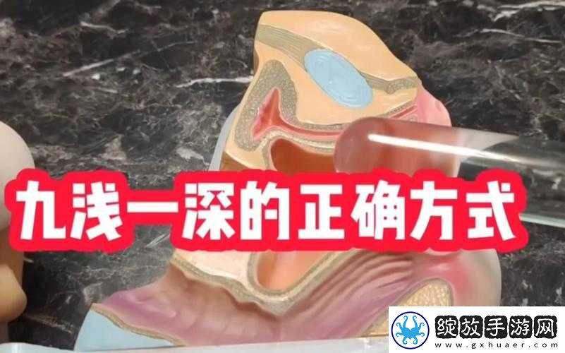 九浅一深与左三右三如何搭配的实用指南