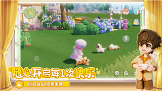 航海王什么卡厉害