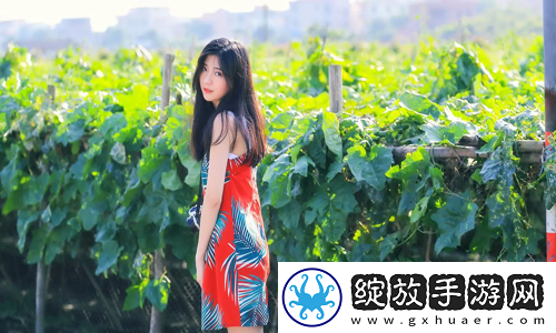 小寡妇汆白肉最经典十首歌曲的情感密码