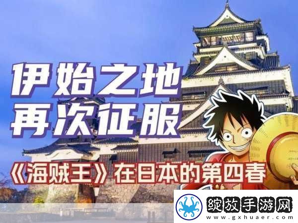 口袋海贼王
