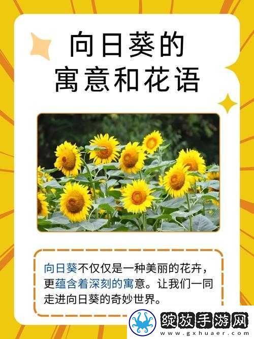 向日葵秋葵草莓榴莲香蕉茄子众多优质内容超清覆盖