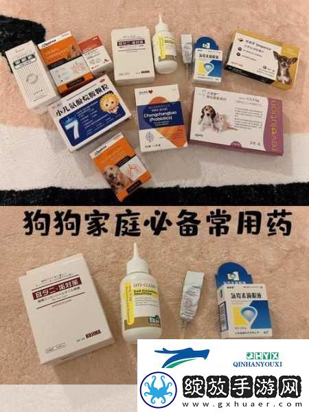人狗胶配方大全免费