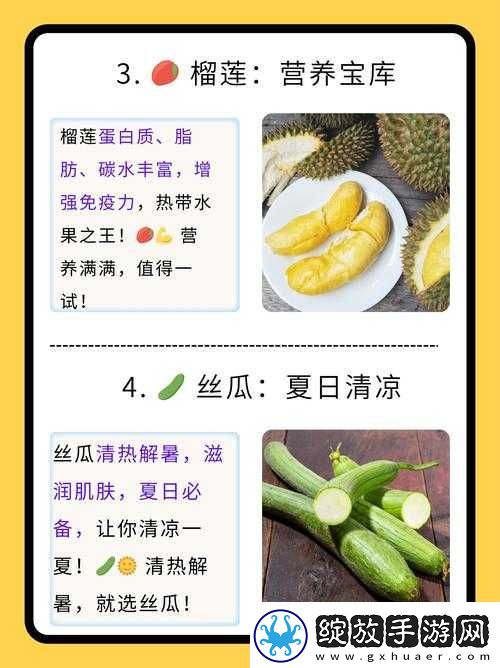 香蕉丝瓜草莓樱桃草莓榴莲知乎的奇妙世界探索