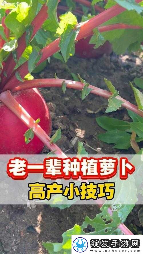 缺氧游戏中冰萝卜的种植技巧与全面解析指南从选种到收获