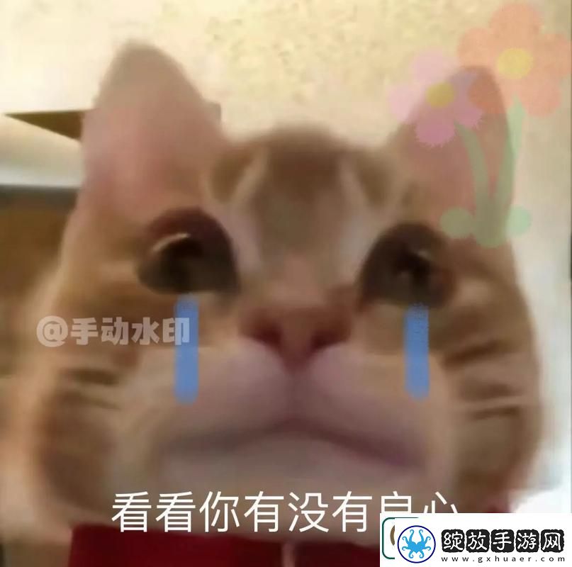 细数男人把QQ号放进女人表情包里友纷纷热议