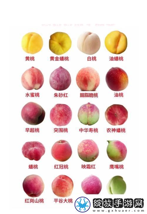 蜜桃产品一二三产区的独特魅力与经济潜力