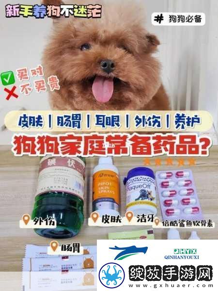 人狗胶配方大全免费