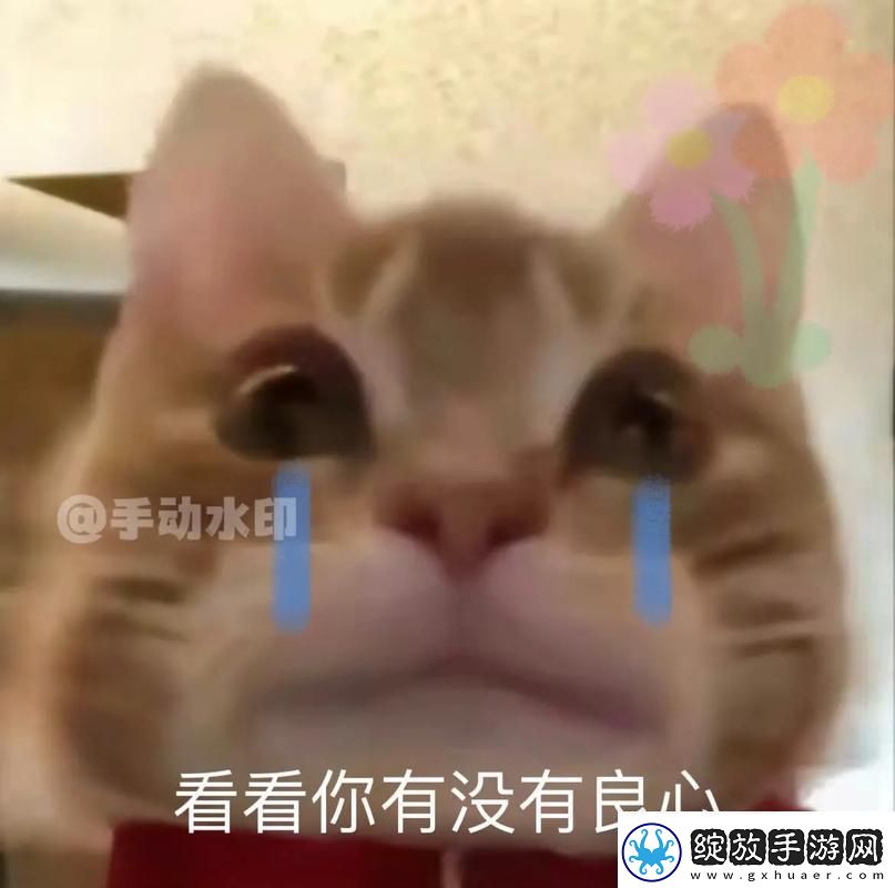 男人把QQ号放进女人表情包里友