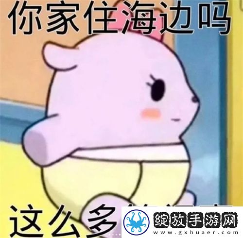 斗图专用万能聊天表情包分享