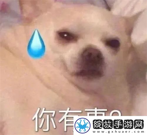 斗图专用万能聊天表情包分享