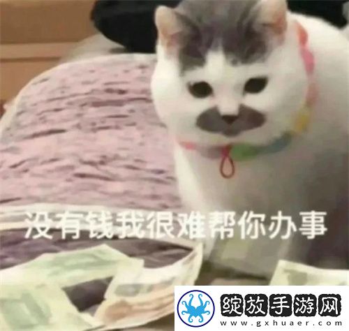 斗图专用万能聊天表情包分享