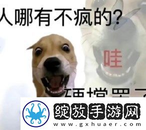 搞笑女必备无水印表情包分享