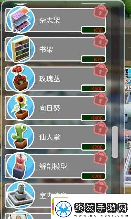 双点医院装饰品获取攻略