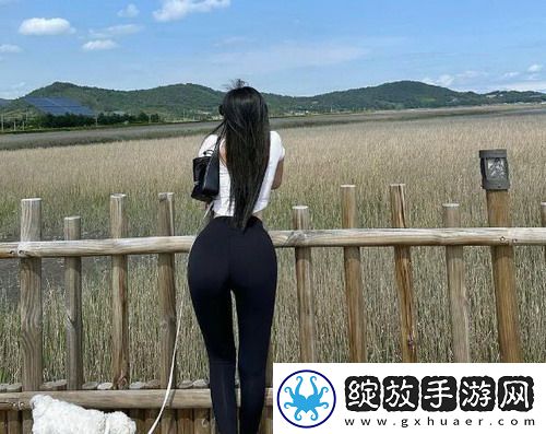 如何在菠萝蜜在线观看免费观看电视上找到你喜爱的影视作品