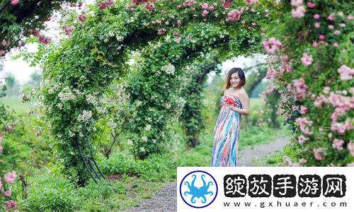 欧亚尺码专线免费2024开启全球购物新篇章