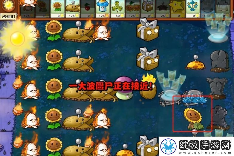 植物大战僵尸杂交版2.3.5版本在哪下载