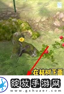 夺笋高手彩蛋攻略