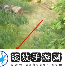 夺笋高手彩蛋攻略