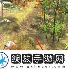 夺笋高手彩蛋攻略