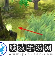 夺笋高手彩蛋攻略