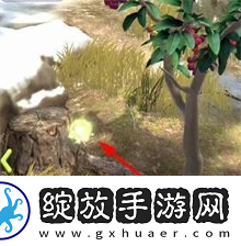 夺笋高手彩蛋攻略