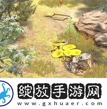 夺笋高手彩蛋攻略